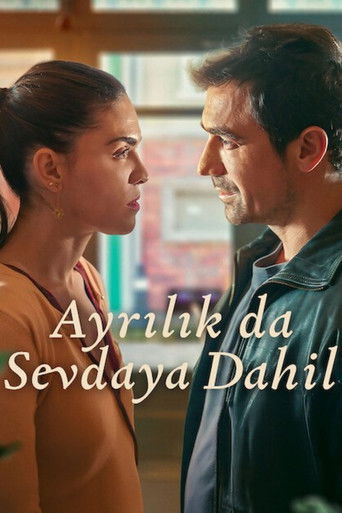 Ayrılık da Sevdaya Dahil afiş görseli