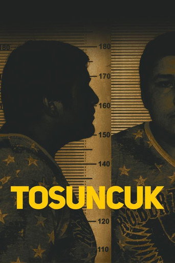 Tosuncuk afiş görseli