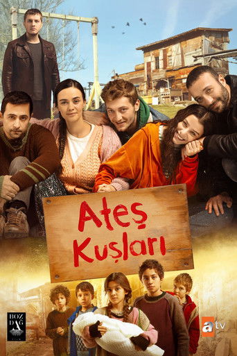 Ateş Kuşları afiş görseli