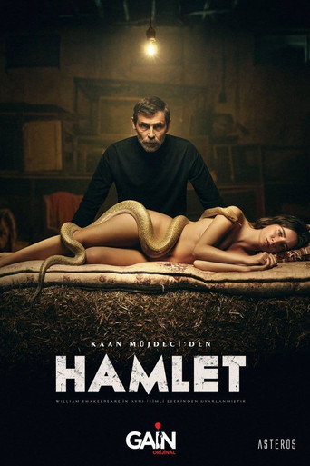 Hamlet afiş görseli