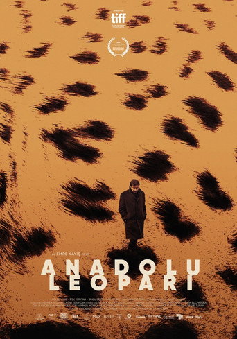Anadolu Leoparı afiş görseli