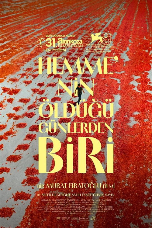 Hemme’nin Öldüğü Günlerden Biri afiş görseli