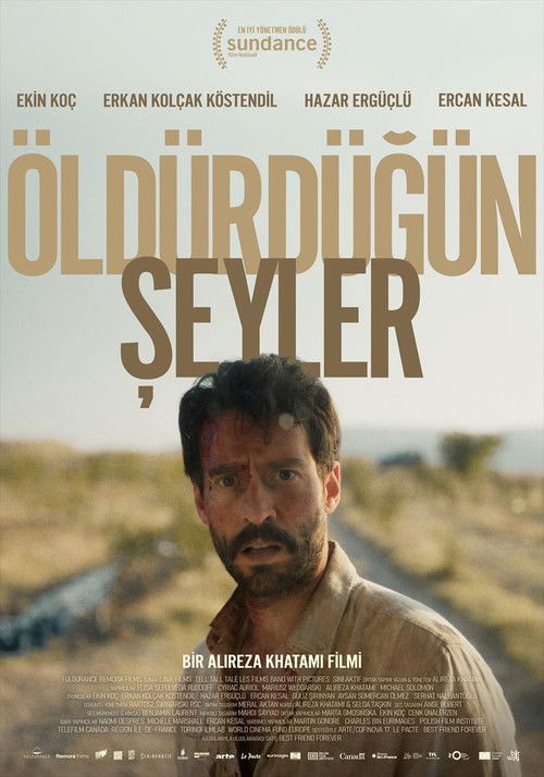 Öldürdüğün Şeyler afiş görseli