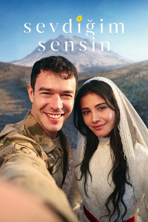 Sevdiğim Sensin afiş görseli