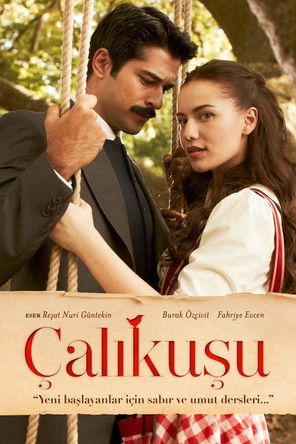 Çalıkuşu afiş görseli