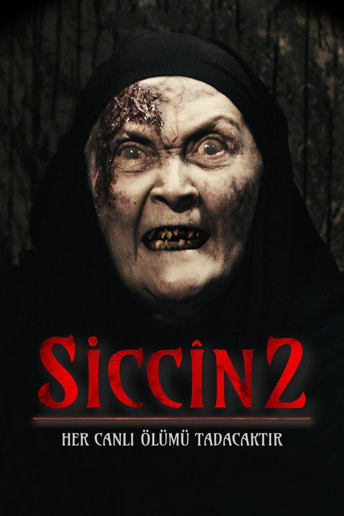 Siccîn 2 afiş görseli