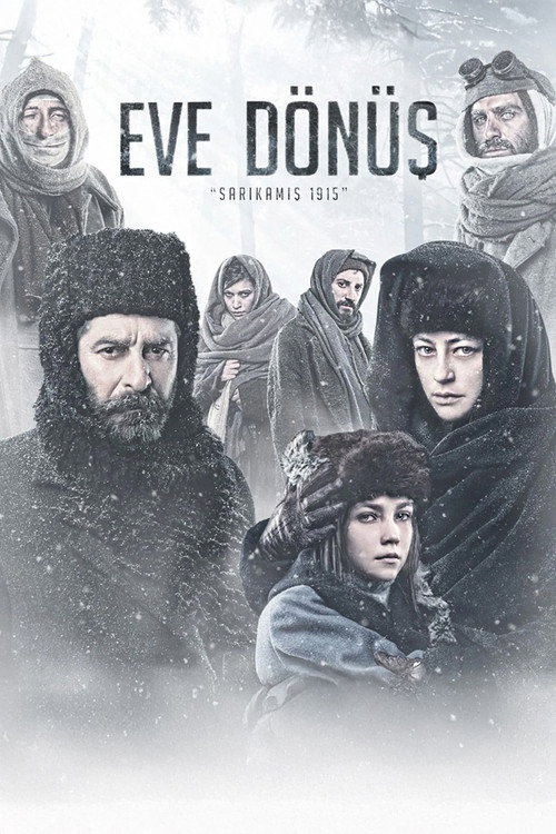 Eve Dönüş: Sarıkamış 1915 afiş görseli