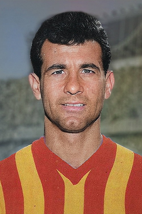 Metin Oktay profil fotoğrafı