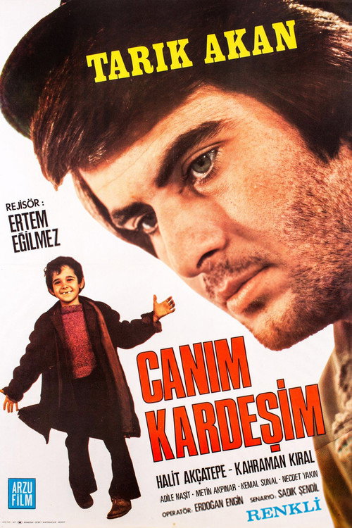 Canım Kardeşim afiş görseli