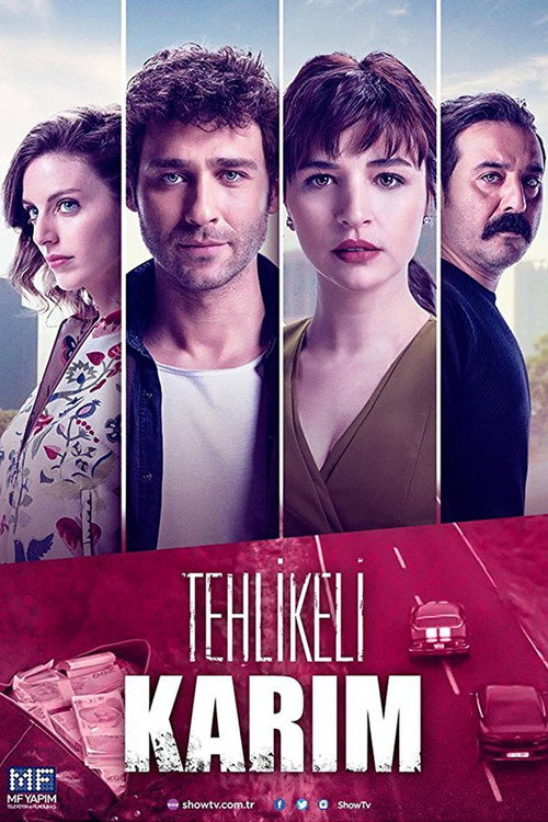 Tehlikeli Karım afiş görseli