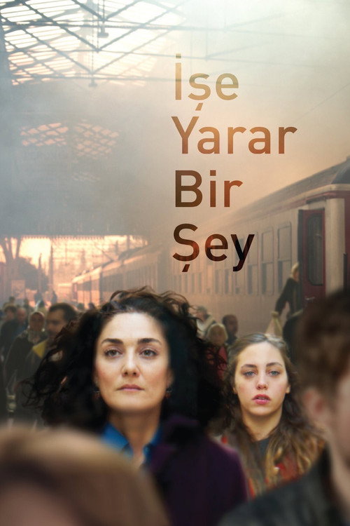 İşe Yarar Bir Şey afiş görseli