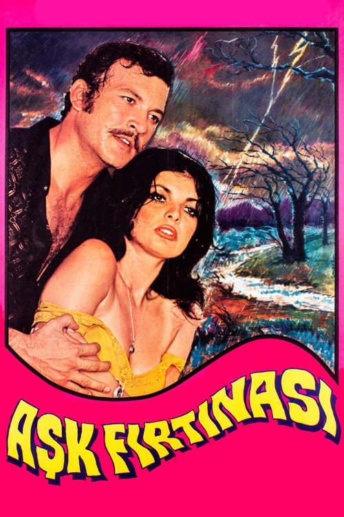 Aşk Fırtınası afiş görseli