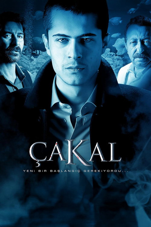 Çakal afiş görseli
