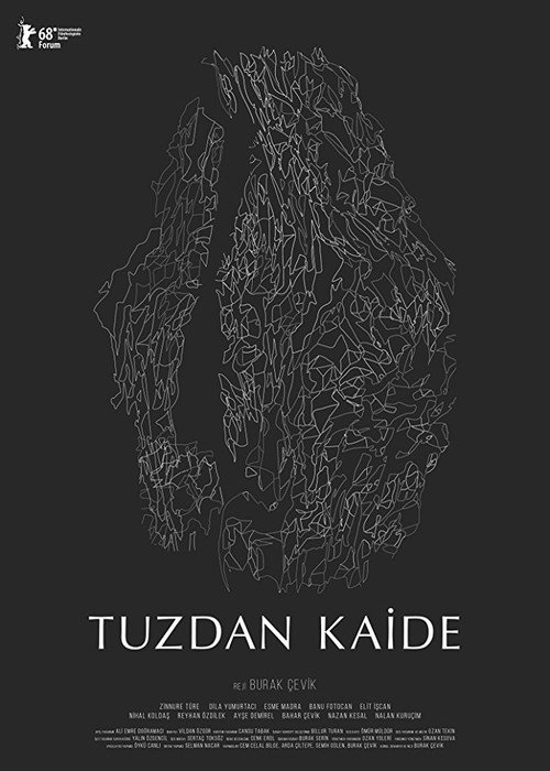 Tuzdan Kaide afiş görseli