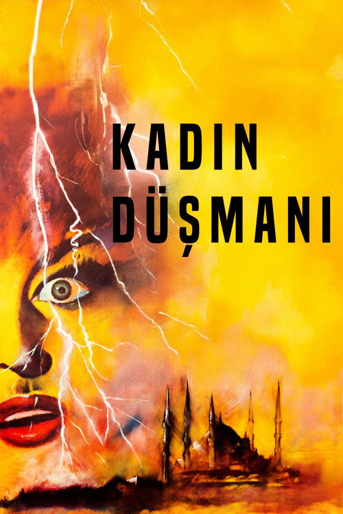 Kadın Düşmanı afiş görseli