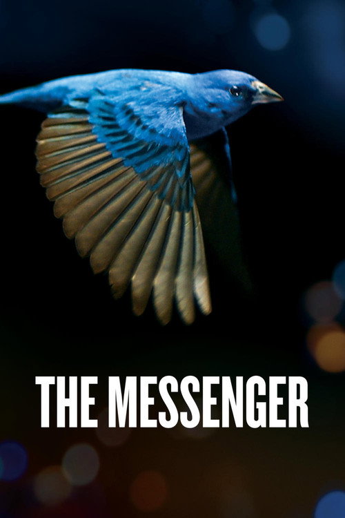 The Messenger afiş görseli
