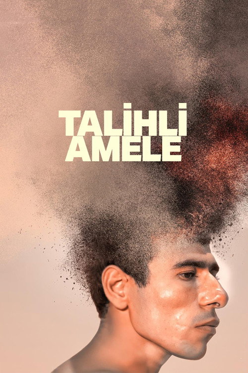 Talihli Amele afiş görseli