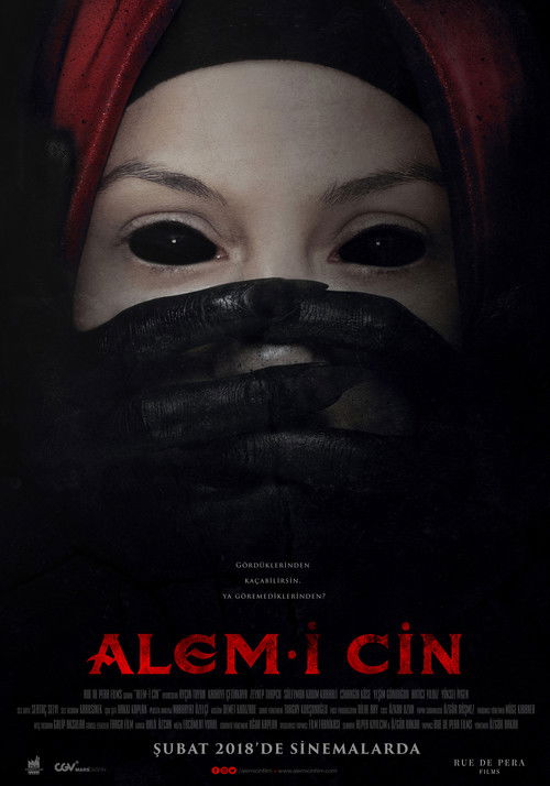 Alem-i Cin afiş görseli