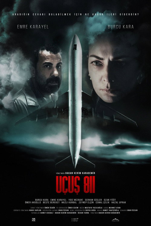 Uçuş 811 afiş görseli