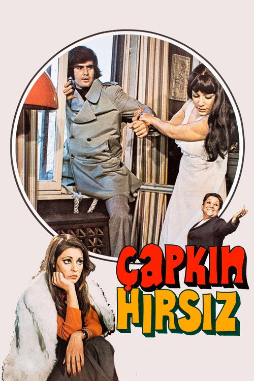 Çapkın Hırsız afiş görseli