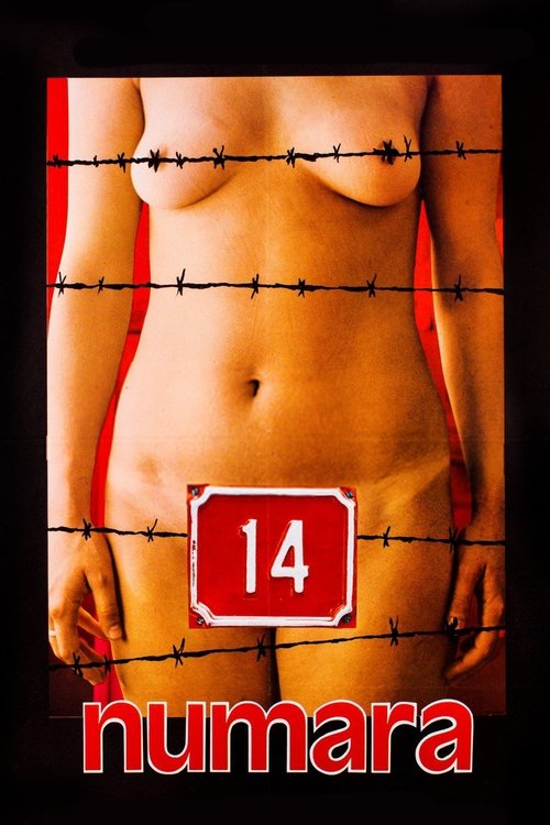 14 Numara afiş görseli