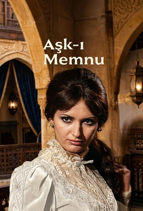 Aşk-ı Memnu afiş görseli