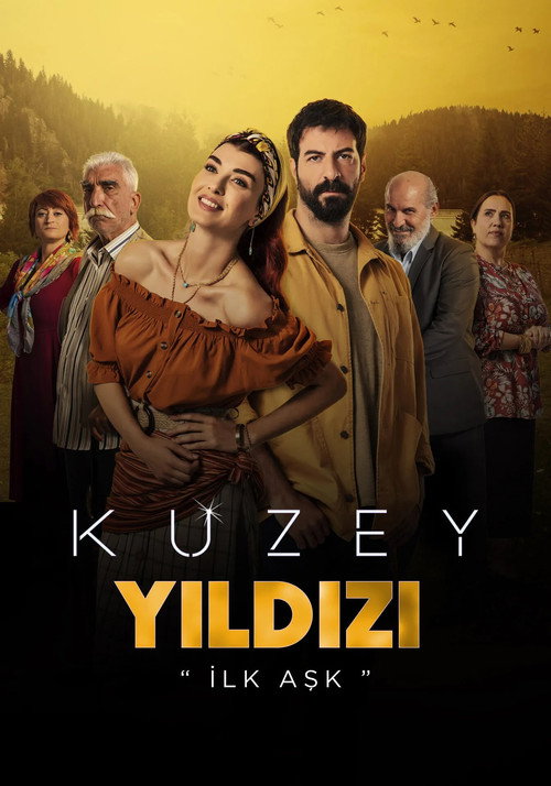 Kuzey Yıldızı: İlk Aşk afiş görseli