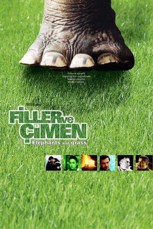 Filler ve Çimen afiş görseli