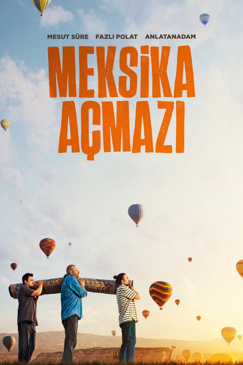 Meksika Açmazı afiş görseli