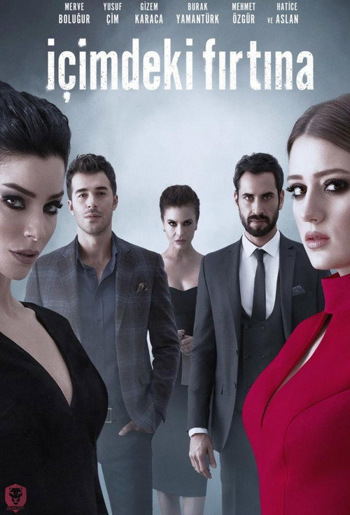 İçimdeki Fırtına afiş görseli