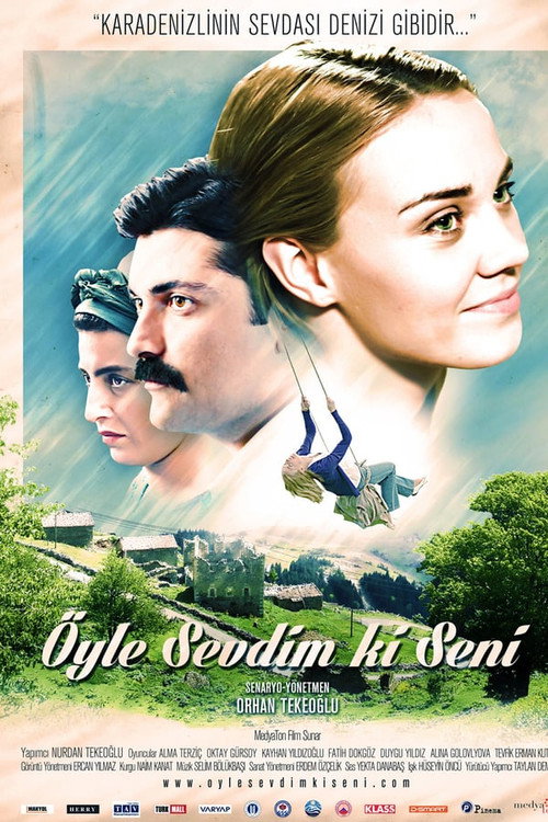Öyle Sevdim ki Seni afiş görseli