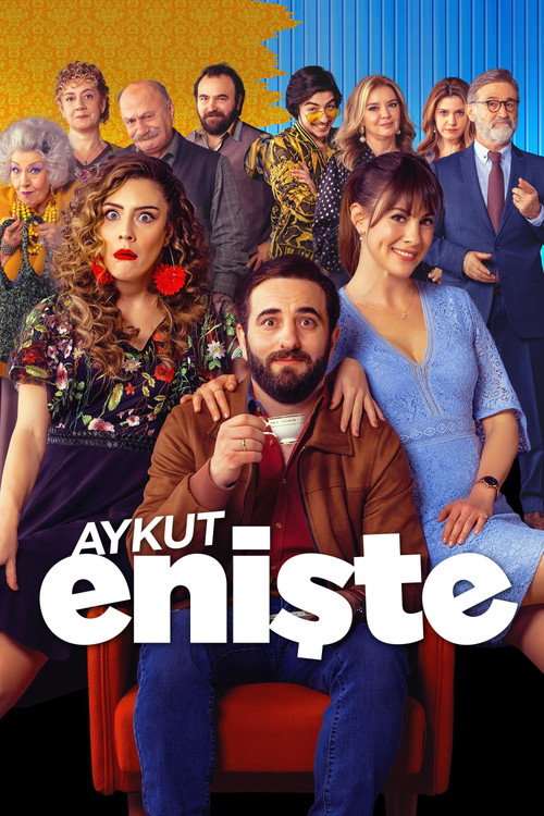 Aykut Enişte afiş görseli