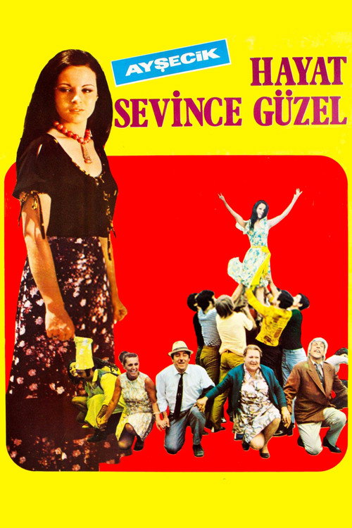 Hayat Sevince Güzel afiş görseli