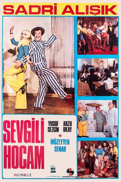 Sevgili Hocam afiş görseli