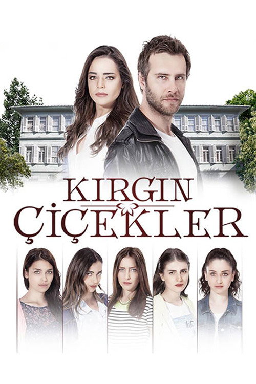 Kırgın Çiçekler afiş görseli
