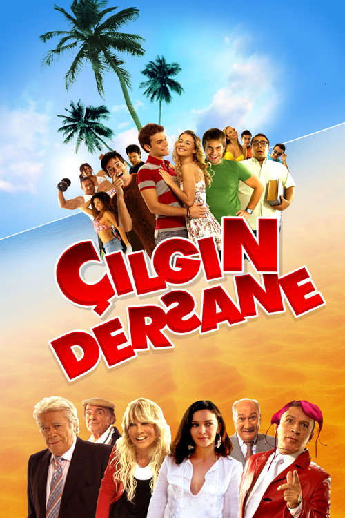 Çılgın Dersane afiş görseli
