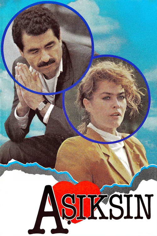 Sen Aşıksın Arkadaş afiş görseli