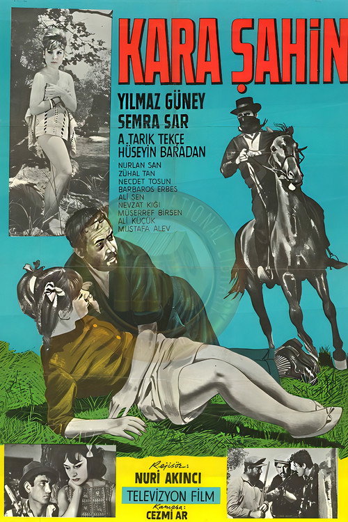Kara Şahin afiş görseli