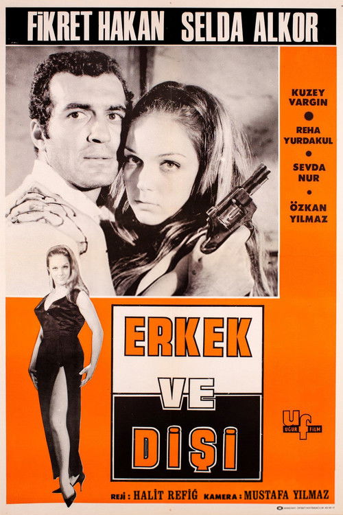 Erkek ve Dişi afiş görseli