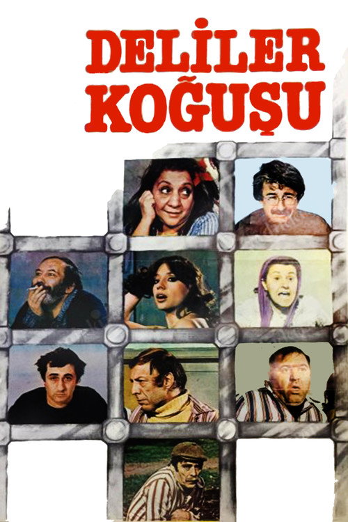 Deliler Koğuşu afiş görseli