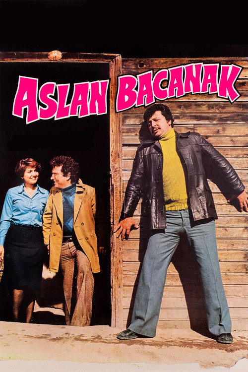 Aslan Bacanak afiş görseli
