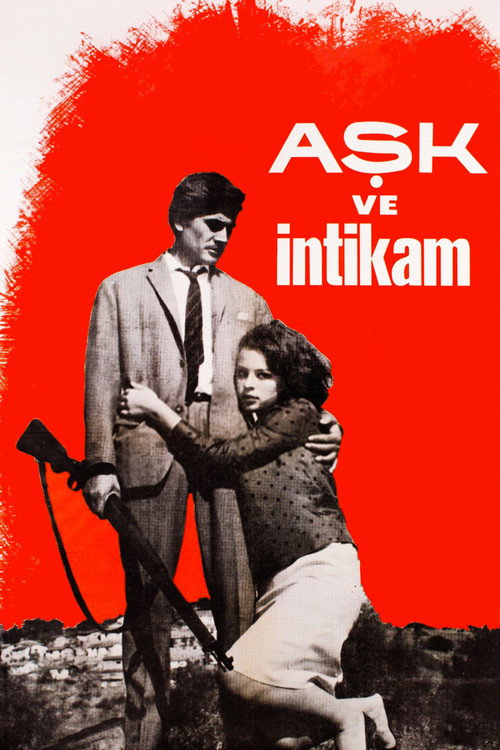 Aşk ve İntikam afiş görseli