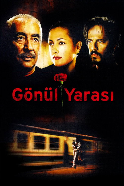Gönül Yarası afiş görseli