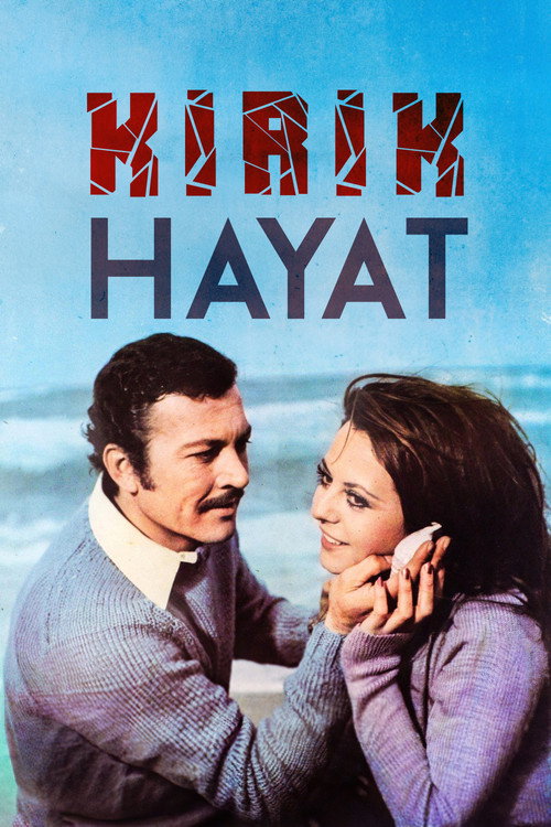 Kırık Hayat afiş görseli