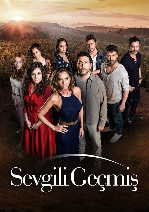 Sevgili Geçmiş afiş görseli