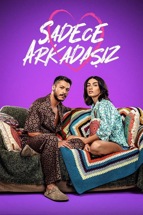 Sadece Arkadaşız afiş görseli