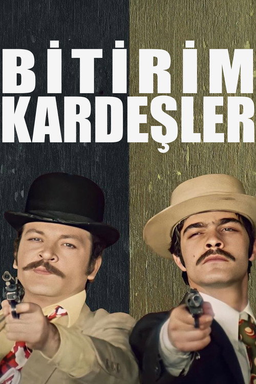 Bitirim Kardeşler afiş görseli