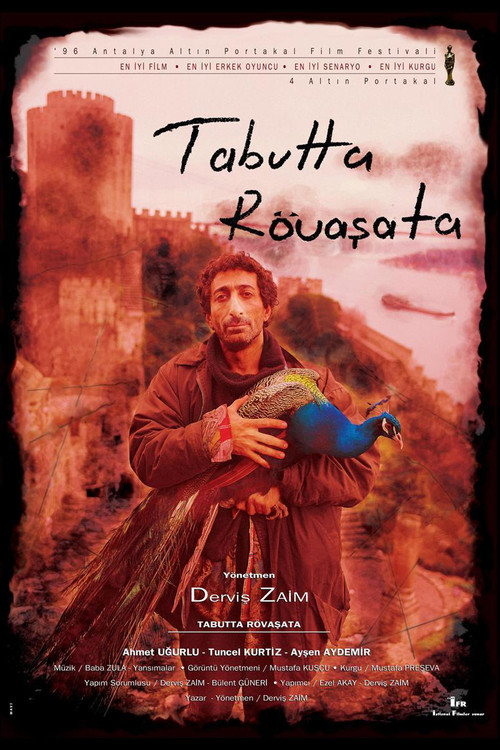 Tabutta Rövaşata afiş görseli
