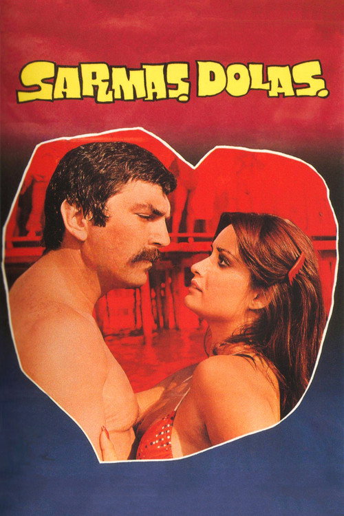 Sarmaş Dolaş afiş görseli