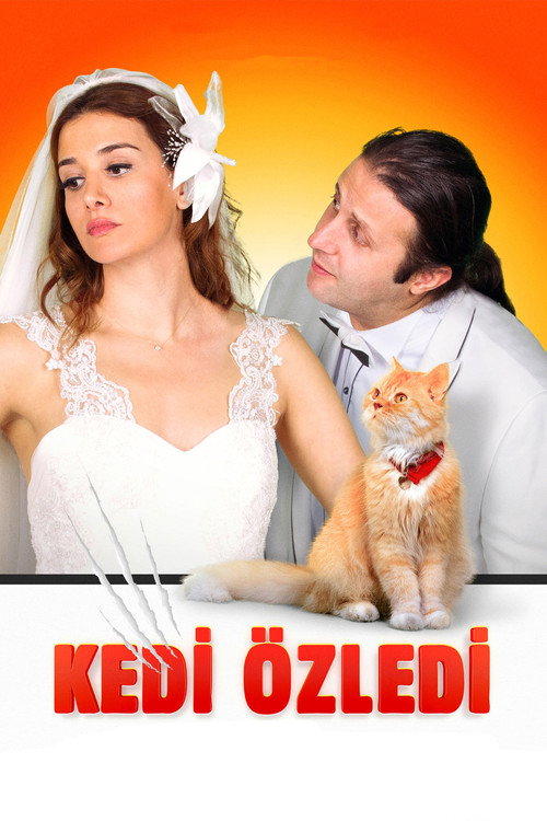 Kedi Özledi afiş görseli
